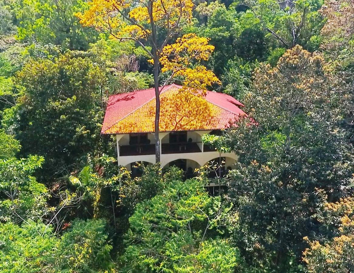 Morrillo Beach Eco Resort Экстерьер фото