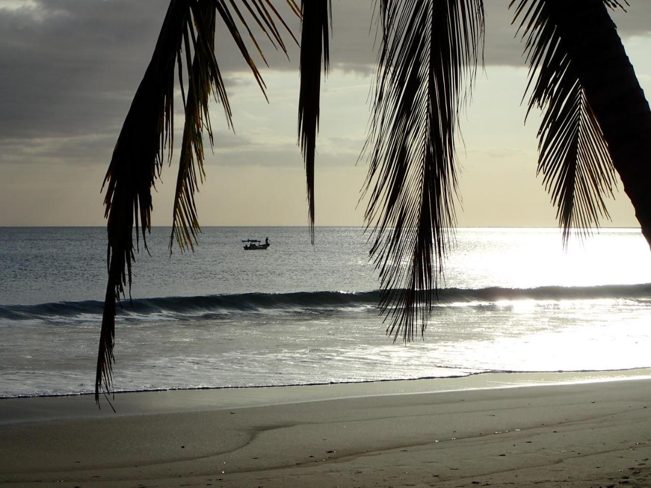 Morrillo Beach Eco Resort Экстерьер фото
